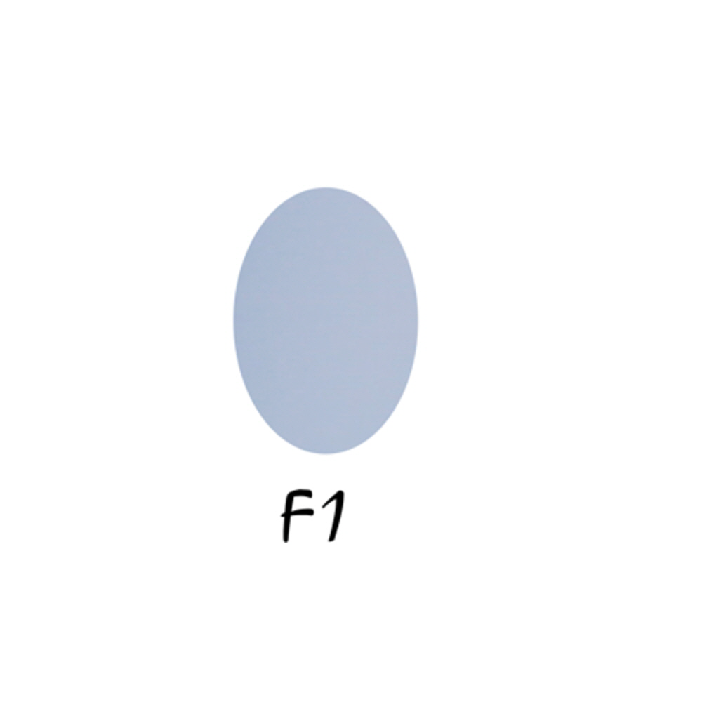 F1